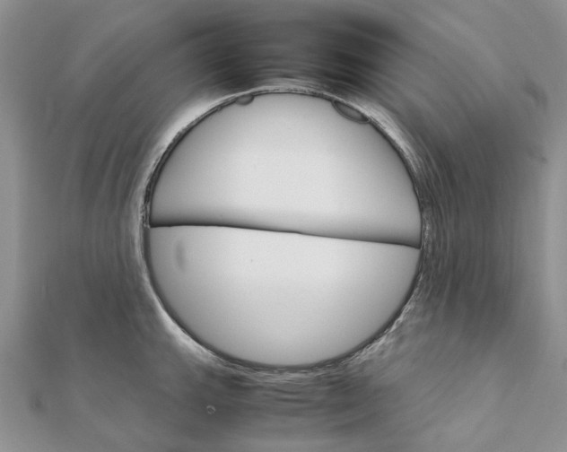 X0000111681143200907311214