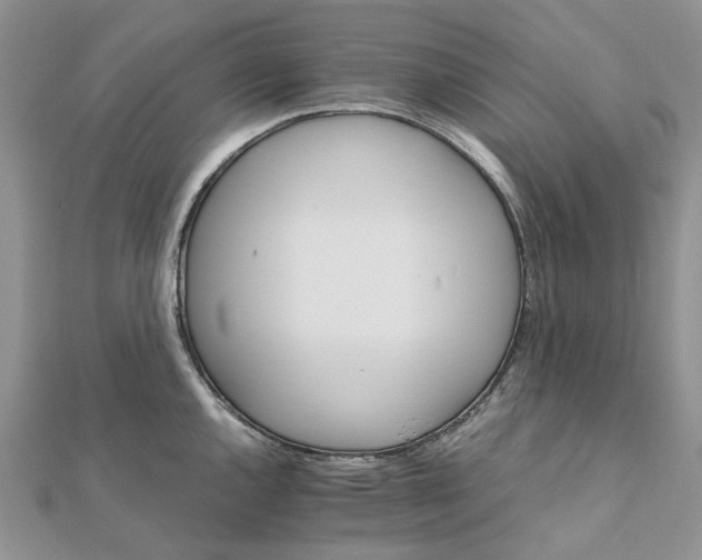 X0000111681144200907311214