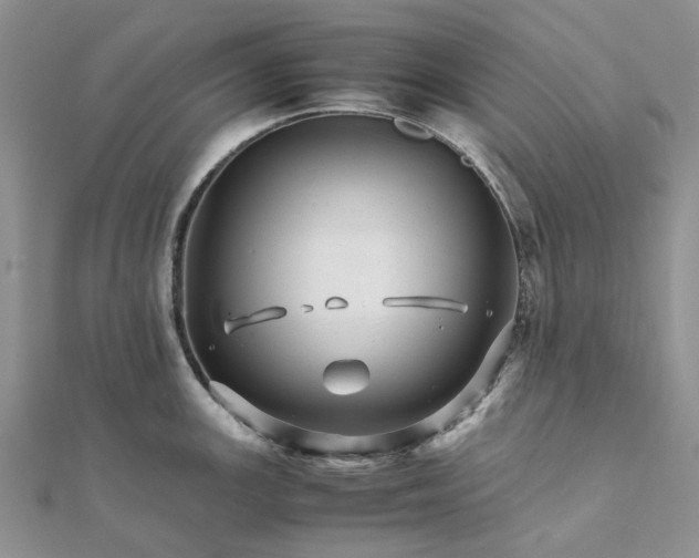 X0000111681147200907311214