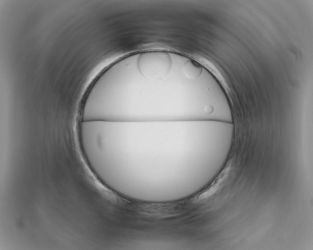 X0000111681149200907311214