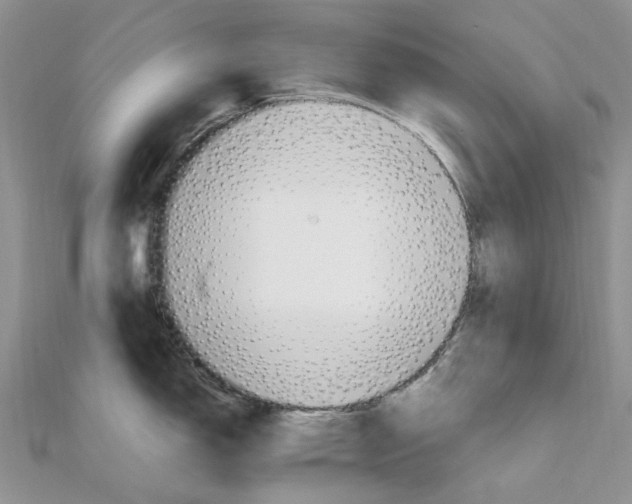 X0000111681150200907311214