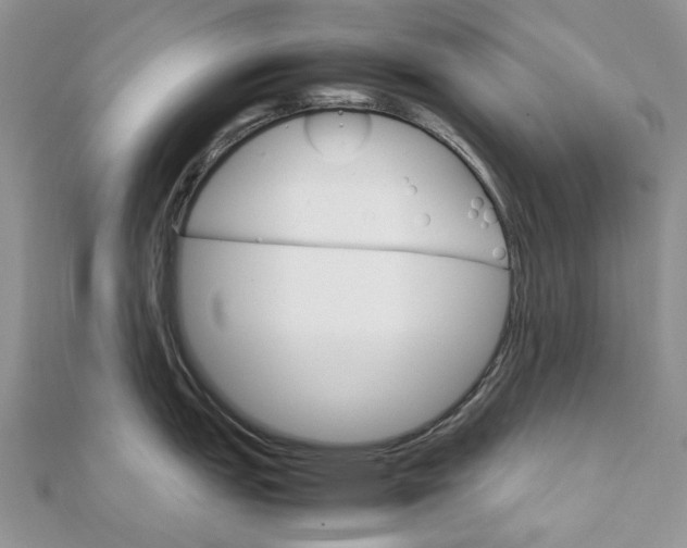 X0000111681151200907311214