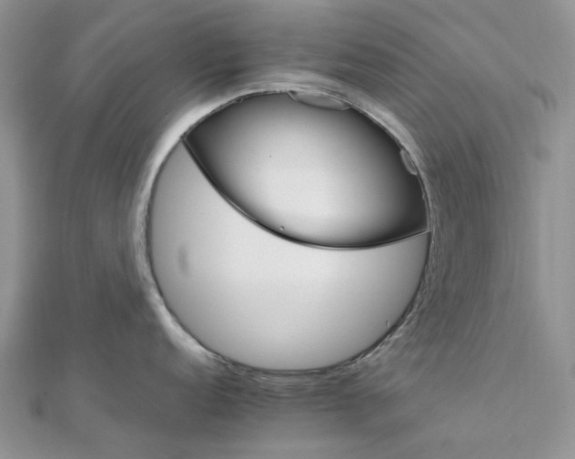 X0000111681152200907311214