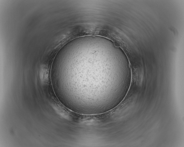 X0000111681154200907311214