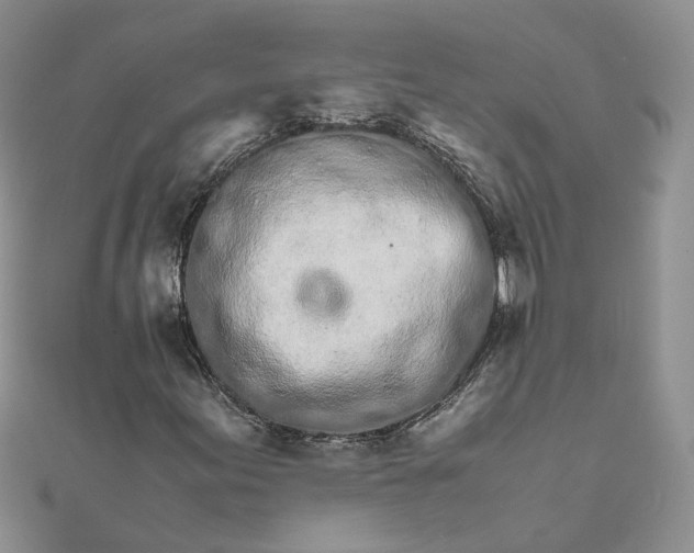 X0000111681155200907311214