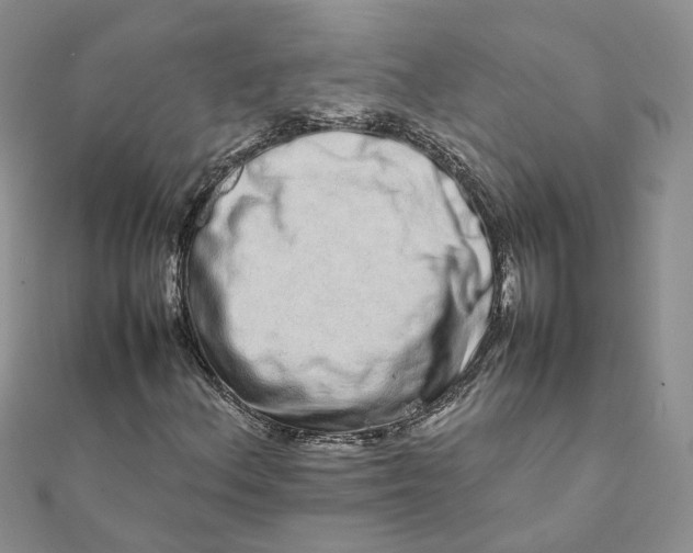 X0000111681156200907311214