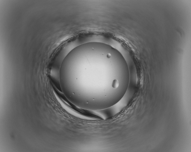 X0000111681157200907311214