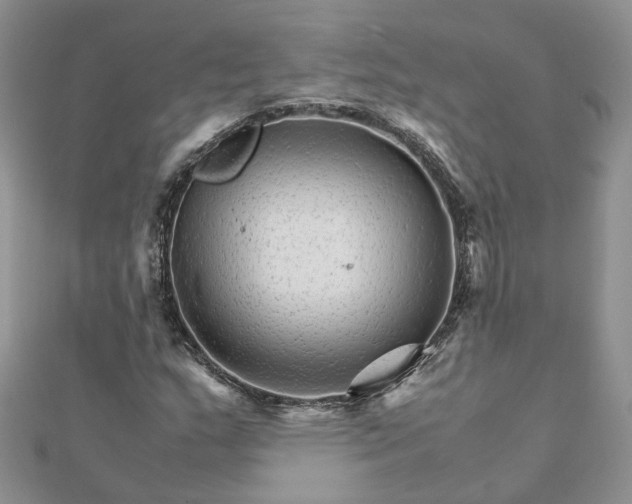 X0000111681159200907311214