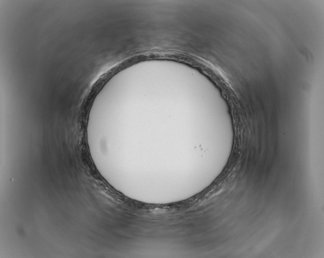 X0000111681160200907311214