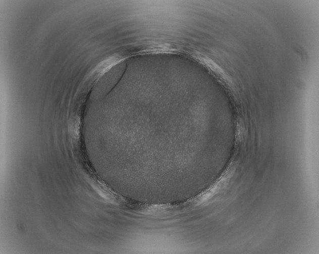 X0000111681161200907311214