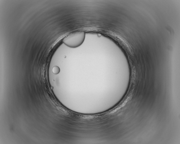 X0000111681162200907311213