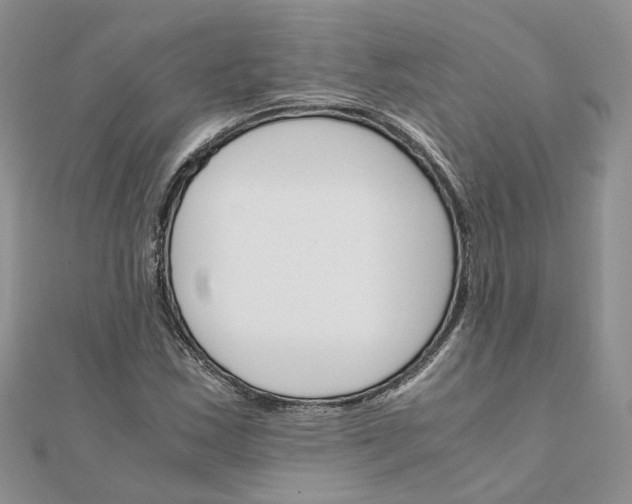 X0000111681163200907311213