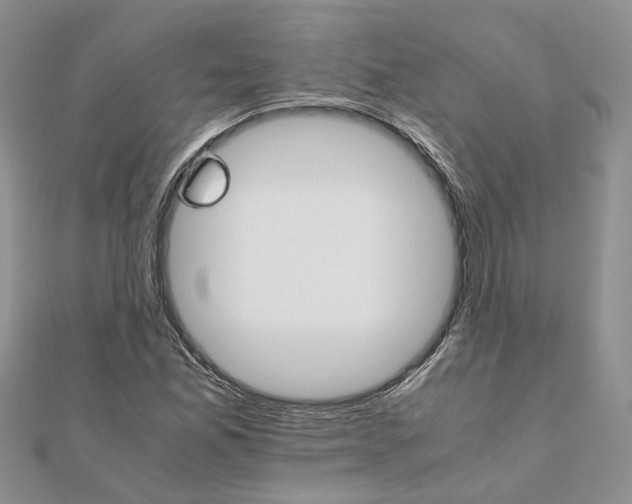 X0000111681165200907311213