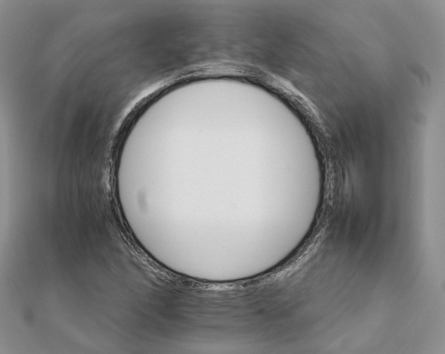 X0000111681166200907311213