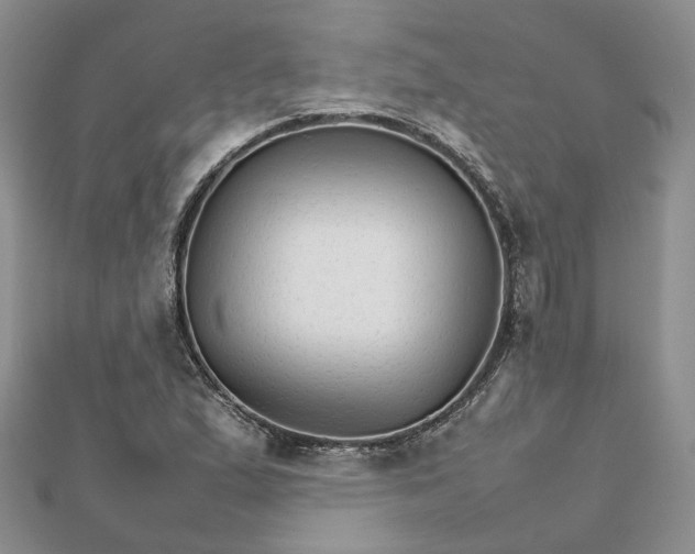 X0000111681167200907311213