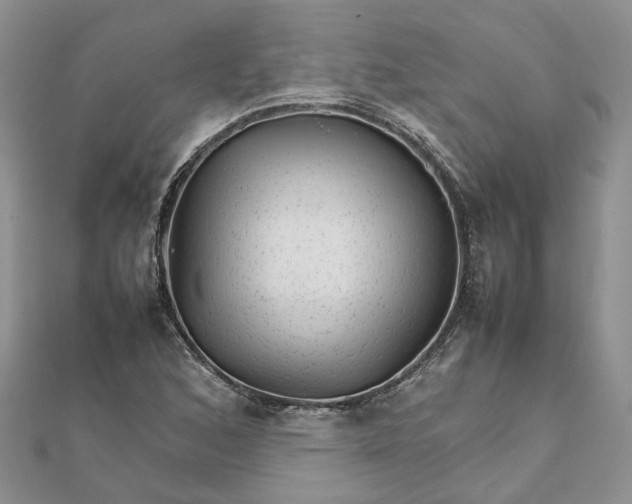 X0000111681168200907311213