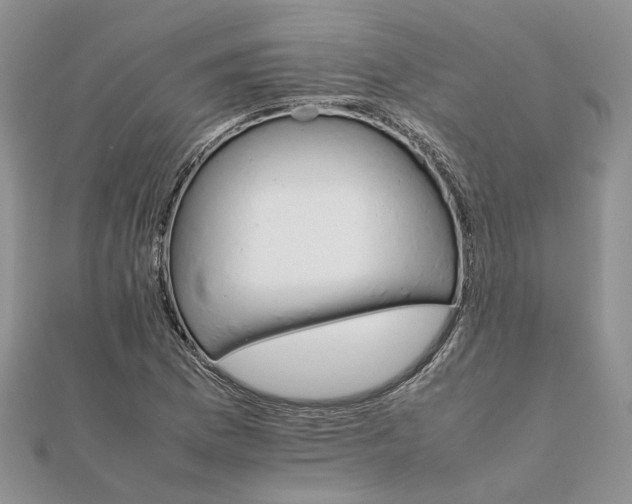 X0000111681169200907311213