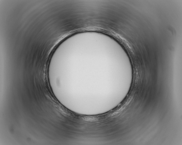 X0000111681170200907311213