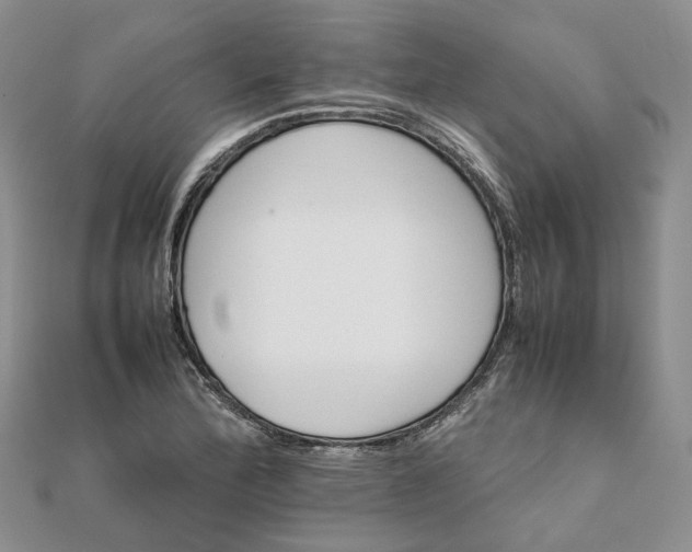 X0000111681172200907311213