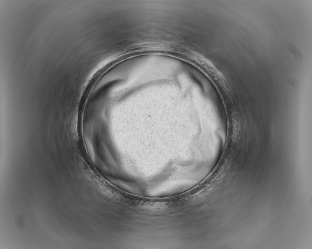 X0000111681174200907311213