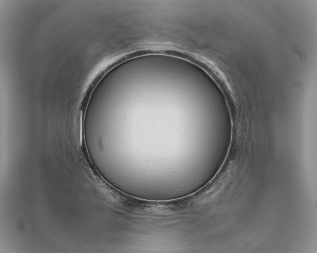 X0000111681175200907311213