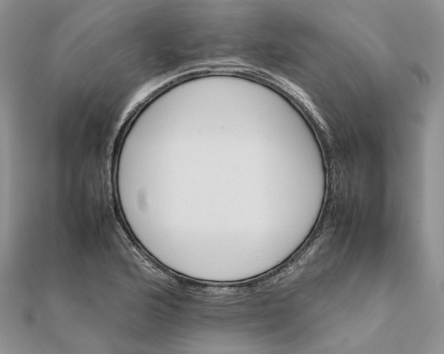 X0000111681176200907311213