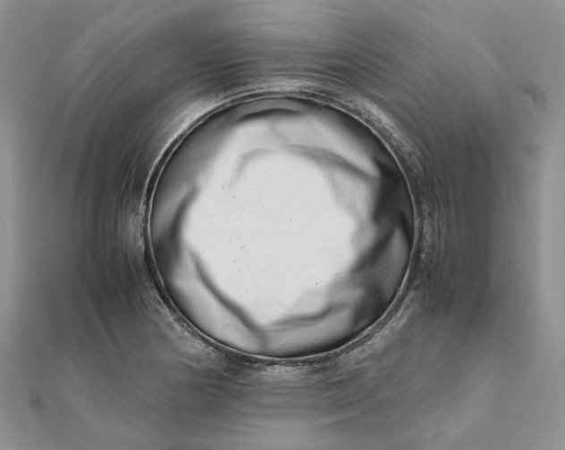 X0000111681178200907311213