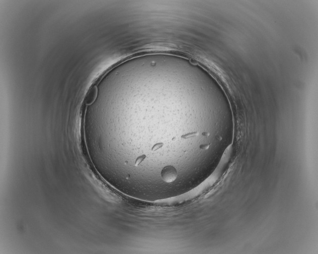 X0000111681179200907311213