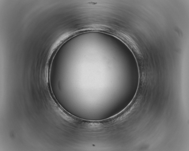 X0000111681180200907311213