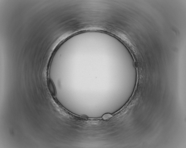 X0000111681181200907311213