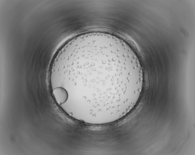 X0000111681182200907311213