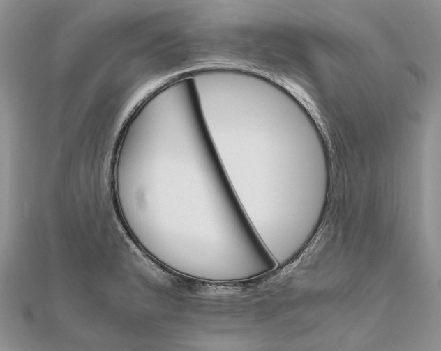 X0000111681183200907311213