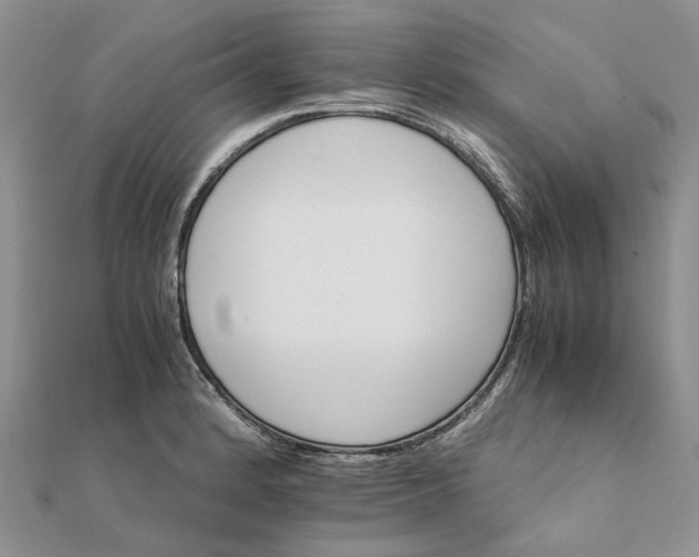 X0000111681184200907311213