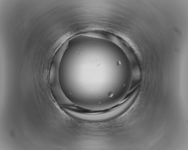 X0000111681185200907311213