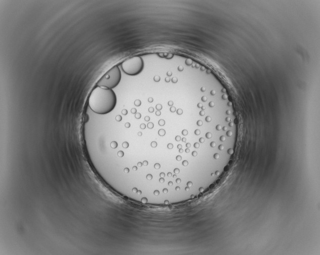 X0000111681186200907311213