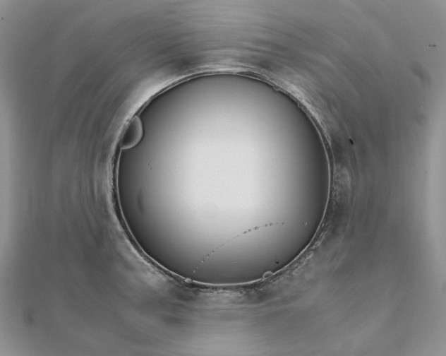 X0000111681187200907311213