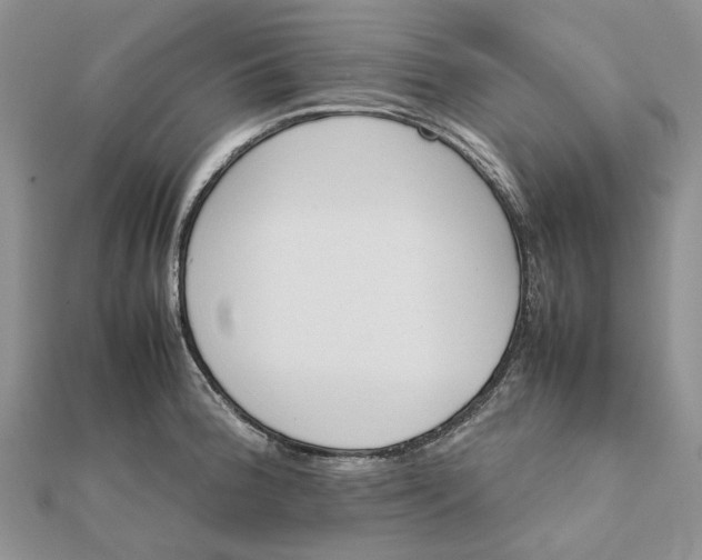 X0000111681188200907311213