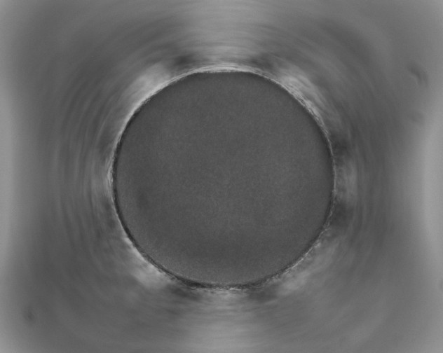 X0000111681189200907311213