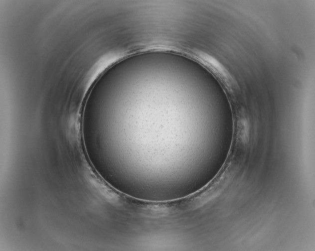 X0000111681190200907311213