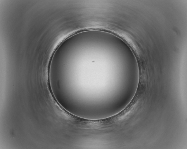 X0000111681191200907311213