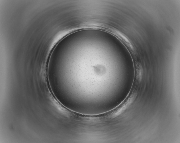 X0000111681192200907311213