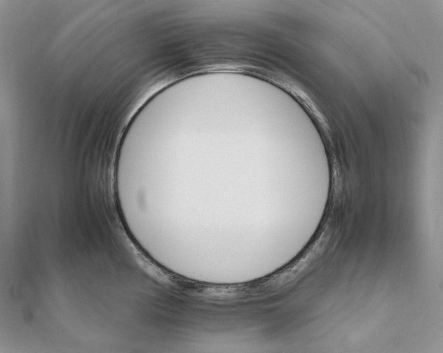 X0000111681194200907311213