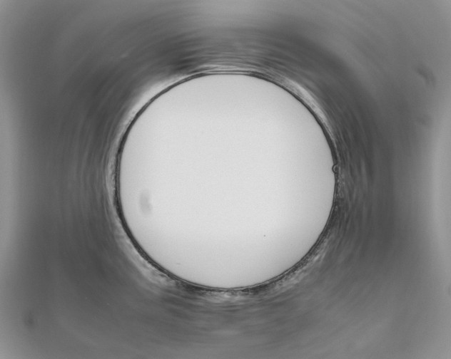 X0000111681195200907311213