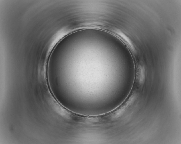 X0000111681196200907311213