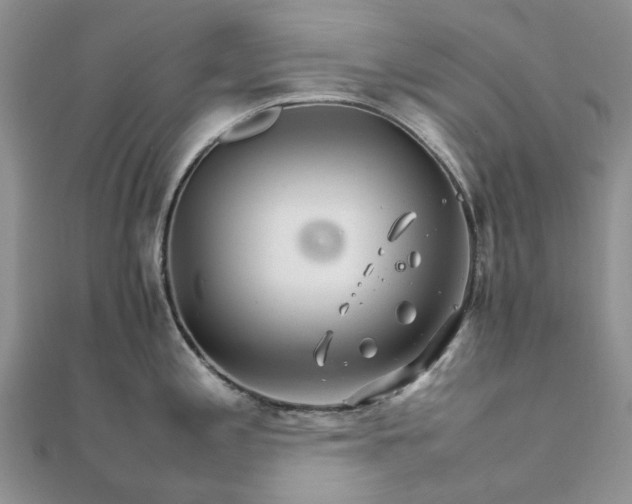 X0000111681197200907311213