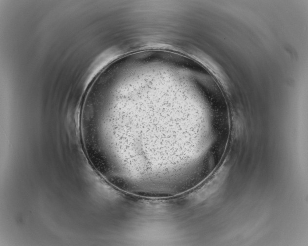 X0000111681198200907311213