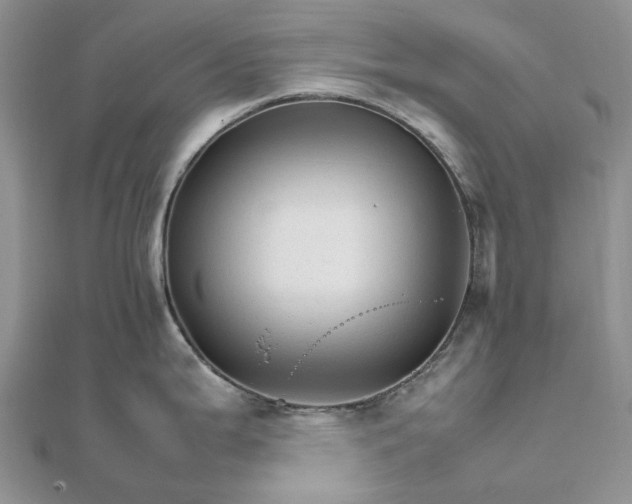 X0000111681199200907311213