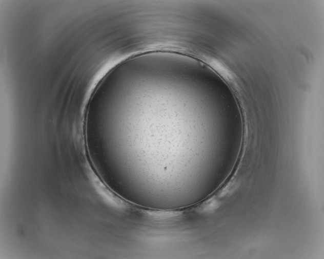 X0000111681200200907311213