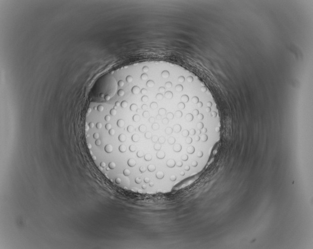 X0000111681201200907311212