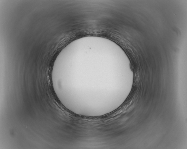 X0000111681202200907311212